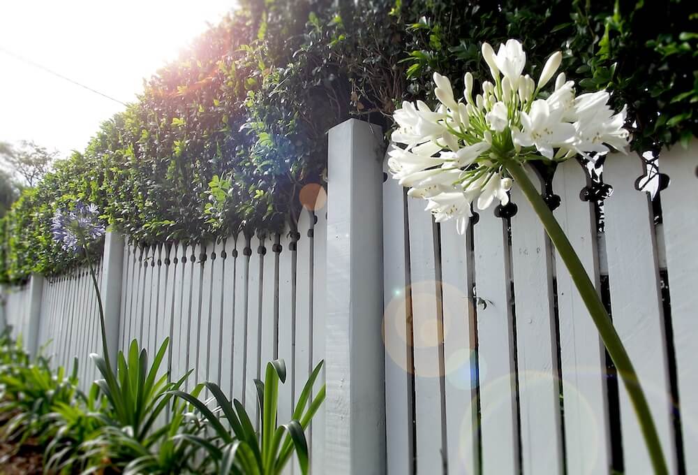 fence painting services