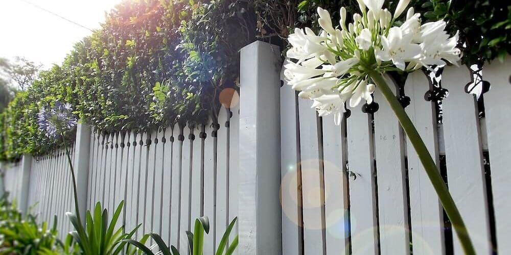 fence painting services